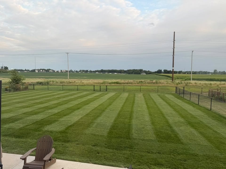 Freshly striped residential lawn from a completed Thomas Lawn Care job