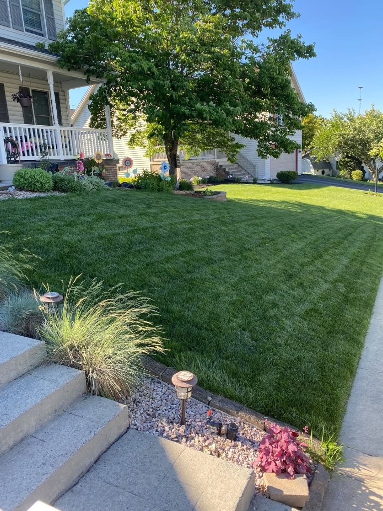 Suburban front lawn with professional striping, stone steps, and curb appeal